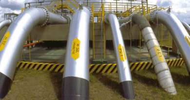 Firjan destaca gás natural como alternativa estratégica para a indústria