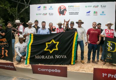 Macaé recebe exposição histórica do Mangalarga Marchador com presença de autoridades