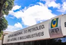 ANP define data para novos ciclos de oferta de petróleo e gás