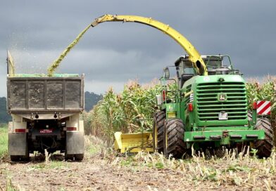 Macaé lidera produção de milho no Estado do Rio e movimenta R$ 6,8 milhões anuais