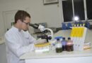 Pesquisa do NUPEM/UFRJ publicada na PeerJ avança no estudo dos borrachudos e reforça a importância da ciência inclusiva