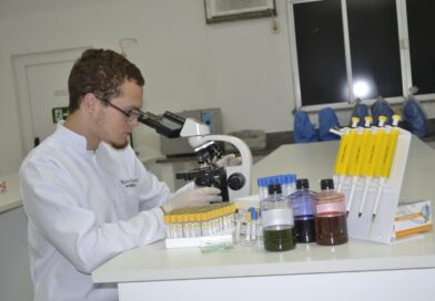 Pesquisa do NUPEM/UFRJ publicada na PeerJ avança no estudo dos borrachudos e reforça a importância da ciência inclusiva